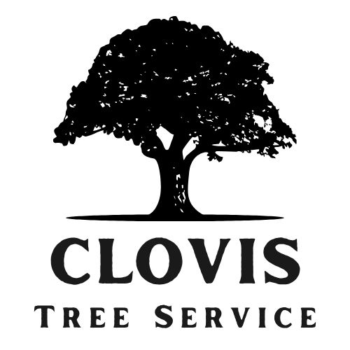 BoldField Clovis Tree Services Logo